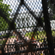 The White House is seen through several layers of recently erected security fencing and barricades from the north side of Lafayette Square in Washington, DC, on June 5 2020, amid ongoing demonstrations over the death of George Floyd in police custody.